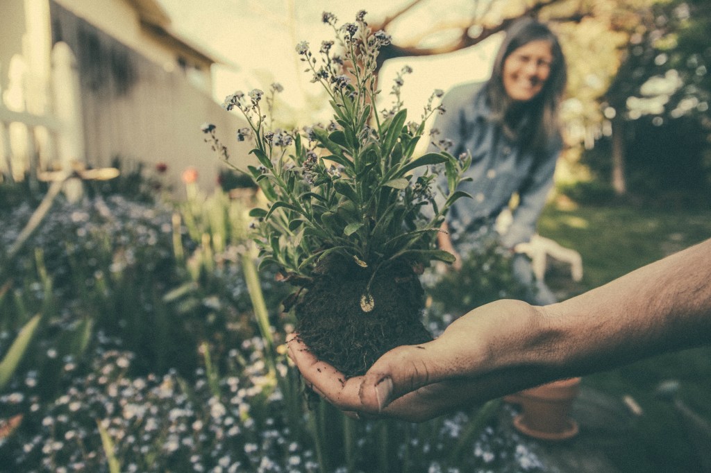 Pulling Up Weeds