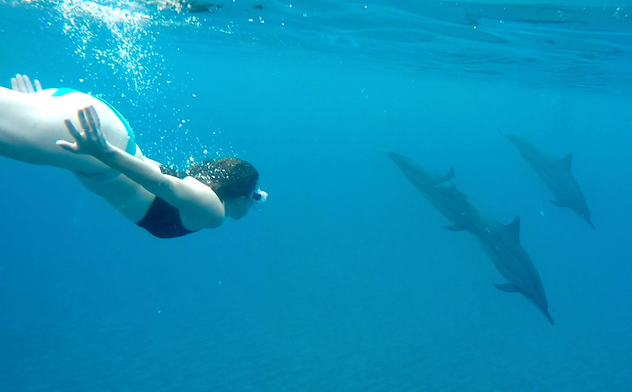 20232010_10105379254537615_294146493517447181_o