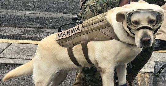 DKMHt7sUQAAY9Oc-1506004499425-1506004506613