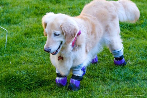 5NDBZ6UFJIZCFELBYQXYH6CN7Y