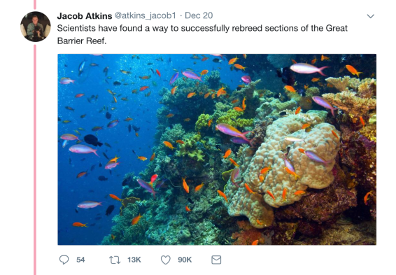 Screen Shot 2017-12-31 at 3.22.17 PM