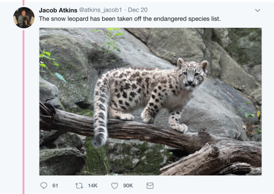 Screen Shot 2017-12-31 at 3.22.48 PM