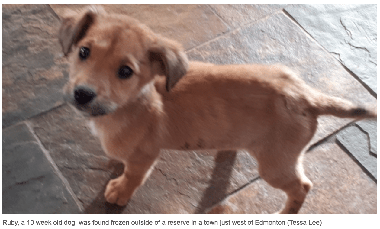 Screen Shot 2018-01-01 at 1.49.02 AM