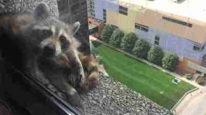 img-9743_wide-2633f66f422279660c375f5f391b98ab5804687c-s1100-c15