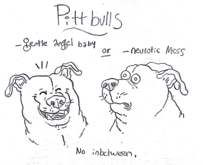 Screen Shot 2018-07-31 at 9.55.35 PM