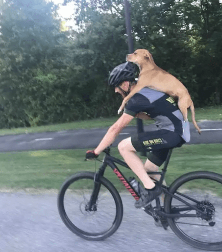 Screen Shot 2018-07-31 at 9.58.59 PM