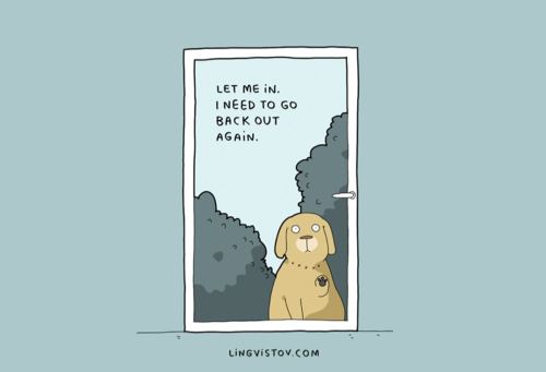 dog-comic-8-bb60ab1d6c1cf8eb59ca7311b6288d31