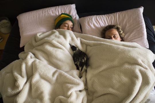 DSC3821-e19345d8ac42f4540d3e5e3c1e655e20