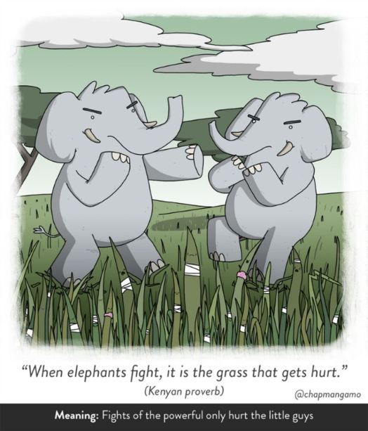 elephantfight-5a135e441dce4405ca6cb872ff491403