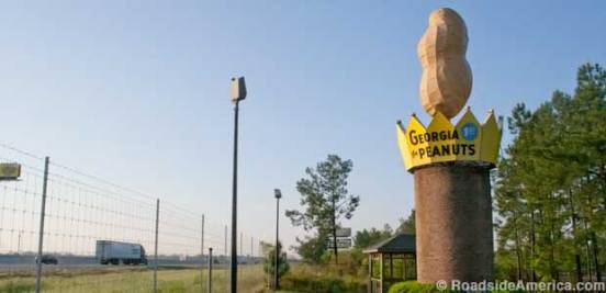 GAASHpeanut_8021_620x300