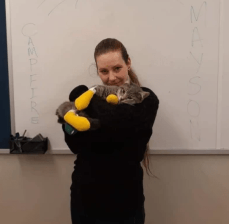 Screen Shot 2018-11-28 at 9.43.22 PM