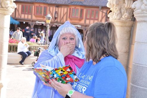 disney2-348477cc6045f0160bd3846130609d2f