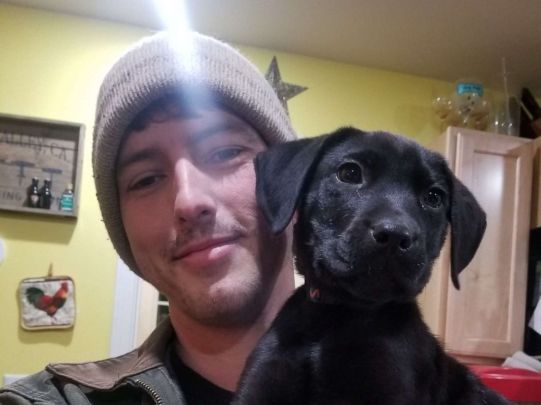 dog-1-ht-er-190430_hpMain_4x3_992-1