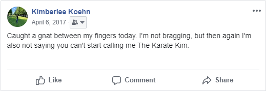 2017 karate kim