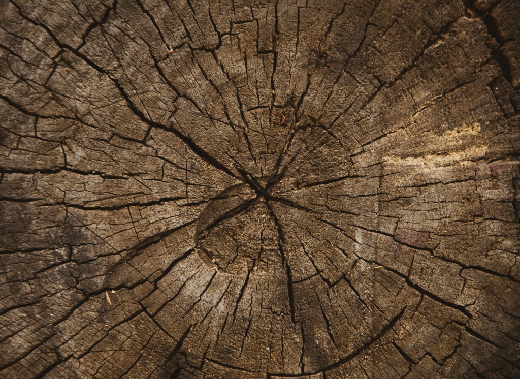 These Gray Hairs